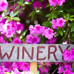 a wooden sign surrounded by purple flowers