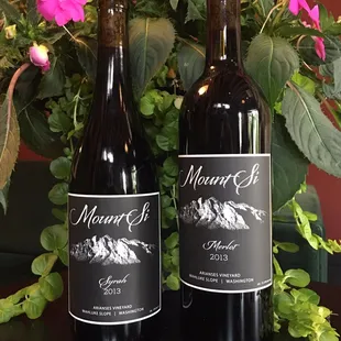 Our award winning Merlot and Syrah!