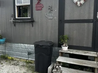 Screamin Beans Coffee