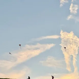 Flying kites