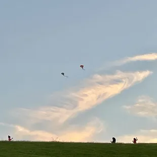 More kites