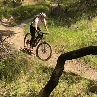 Fully suspended aluminum Specialized