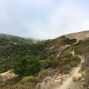 Beautiful, foggy Marin county singletrack.