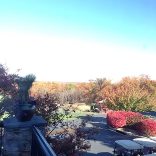 View from the back room