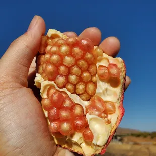 Don&apos;t be fooled by the color, these were sweet and juicy!