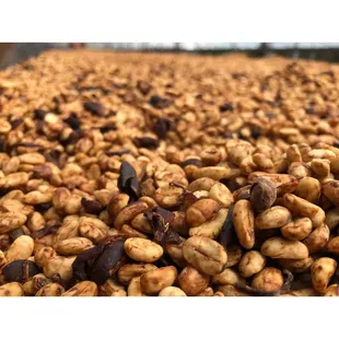 Coffee processing