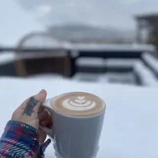 Snowy day at Mountain Dweller