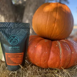 It&apos;s pumpkin season! Stop by the shop today for a house made Pumpkin Spice Latte or Chai, plus check out our new coffee offerings!