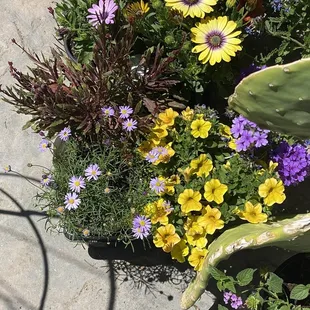 A beautiful arrangement of flowers from nursery.
