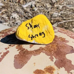 Saw this rock at the park. Stay strong!