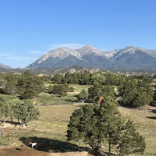 View from the Princeton room!