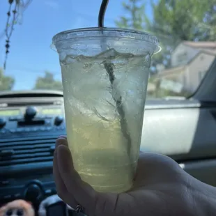 Green Tea & Lemonade