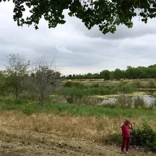 The beaver pond west of Central Park.