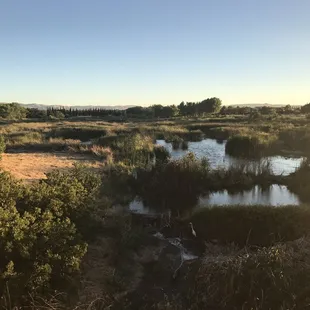 This is why I live here.