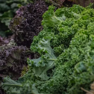 We carry all-organic produce 99% of the time.