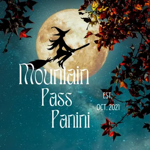 a witch on a broom flying in front of a full moon