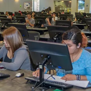 Rose Academies High School Students Hard at Work