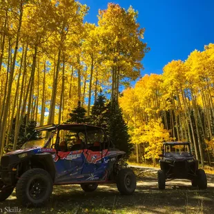 Amazing fall colors!