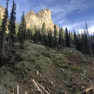 One of the stops on our ATV ride outside of Creede
