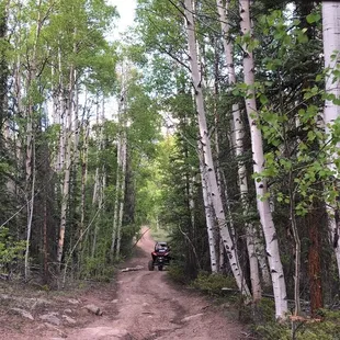 Can't imagine what this view would be like in the fall