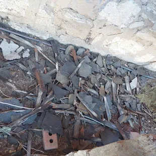 Some of the trash we began to remove from the trees :(