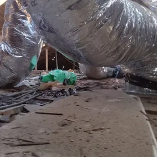 How They Planned to Leave My Attic