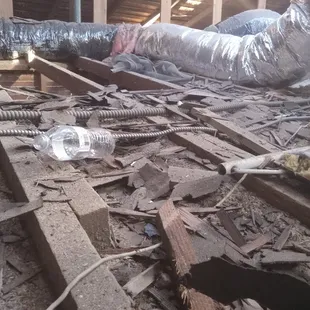 How They Planned to Leave My Attic