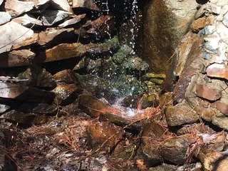 Durrwood Creekside Lodge