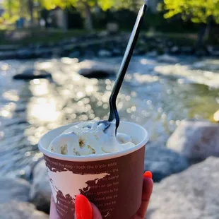 a hand holding a cup of ice cream
