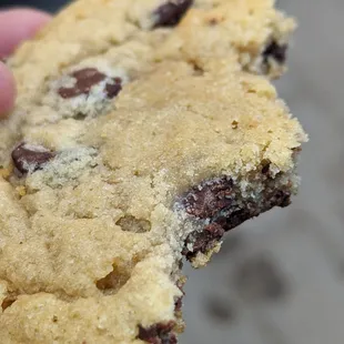 Soft chewy chocolate chip cookie