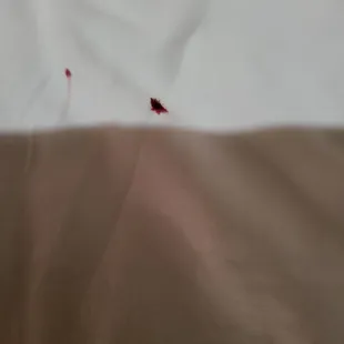 Another one we killed