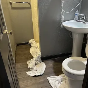 Overflowing toilet and shower. Clogged sink.