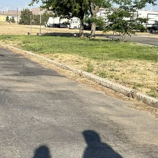 The "dog park" which isn't enclosed or doggie bags