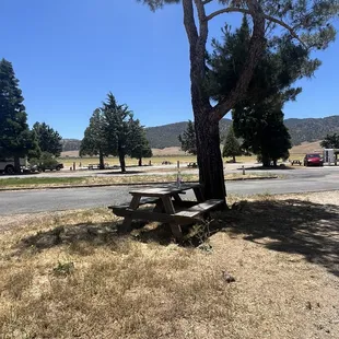 Lots of sticky areas from the trees and the benches aren't up kept.