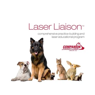 We offer Laser Therapy