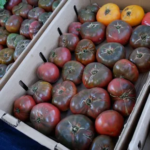 Beefsteak Tomatoes