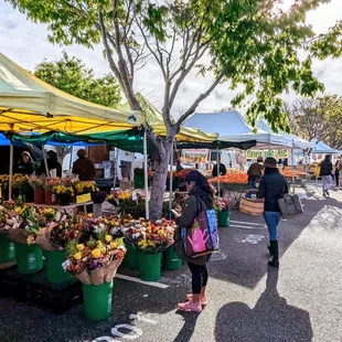 Inside the market