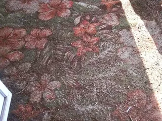 Noblesse Oblige Mobile Home Estates