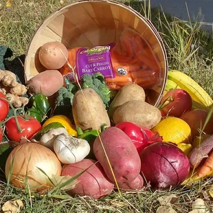 a variety of vegetables in a basket