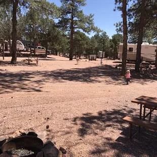 Deer just hanging out.