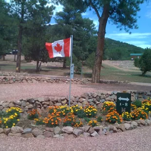 beautiful landscaping