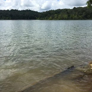 The lake is clean and pretty clear