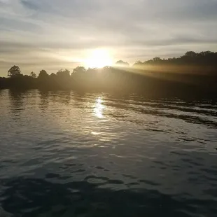 Nolin and Moutardier