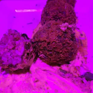 Boudin Balls were amazing!! A must try .