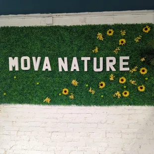 Tried the honeydew juice and a mova ship!