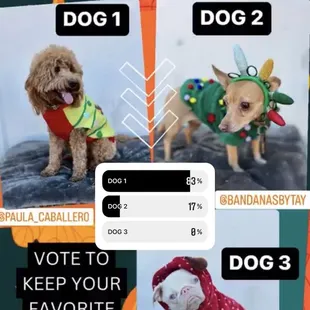 Vote for baby Zeyy dog 1  much love yall