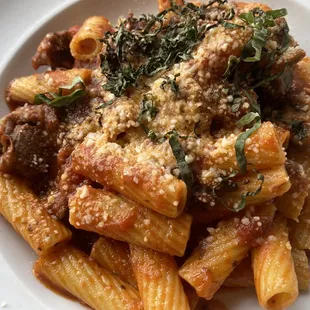 Short Rib Ragu