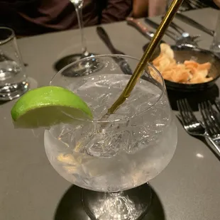 Gin and Tonic