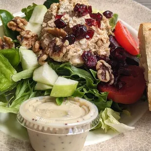 Moxie 's Harvest Salad