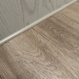 Very kindly, the ants walked around my bag.